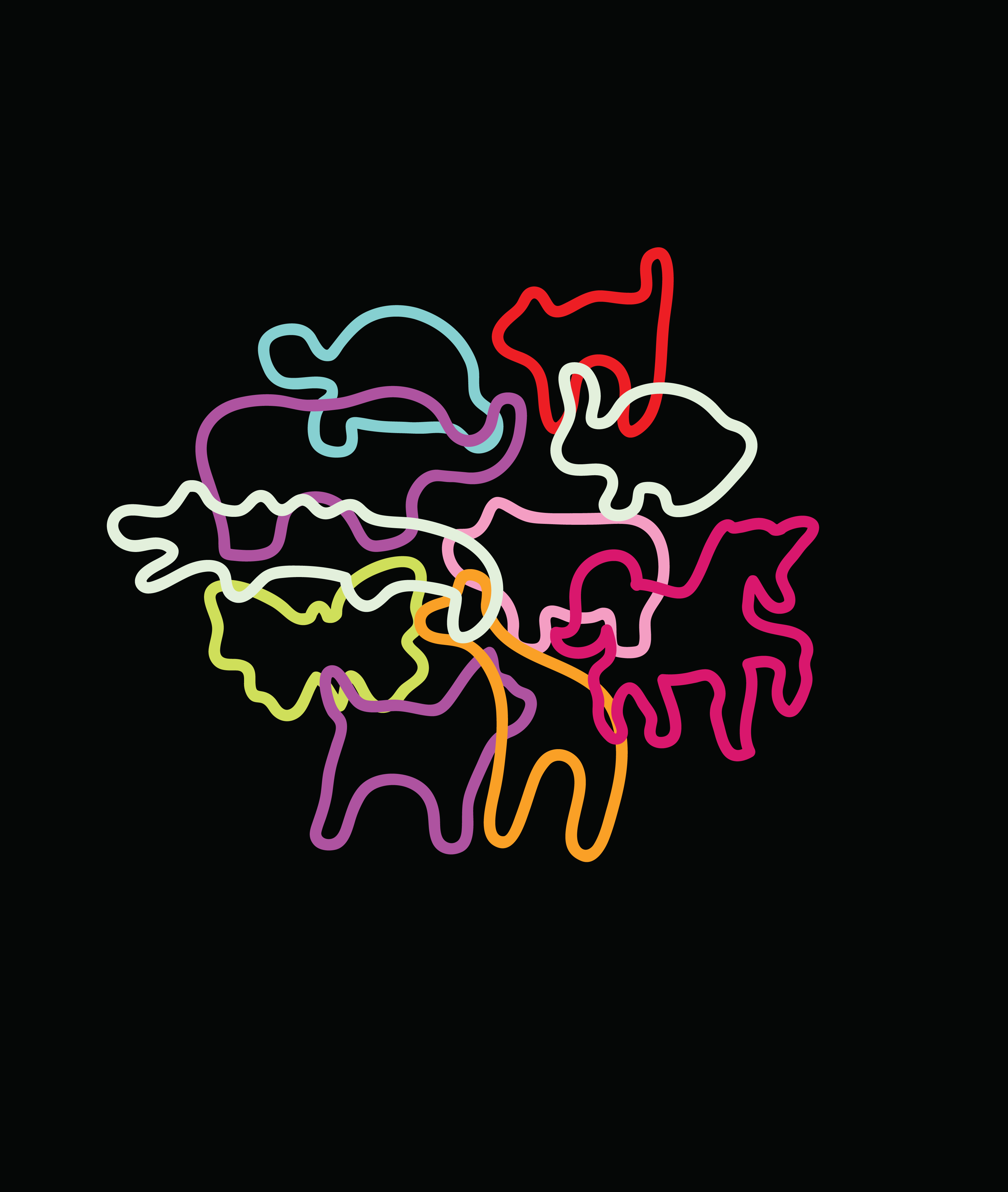 The Rubber Menagerie